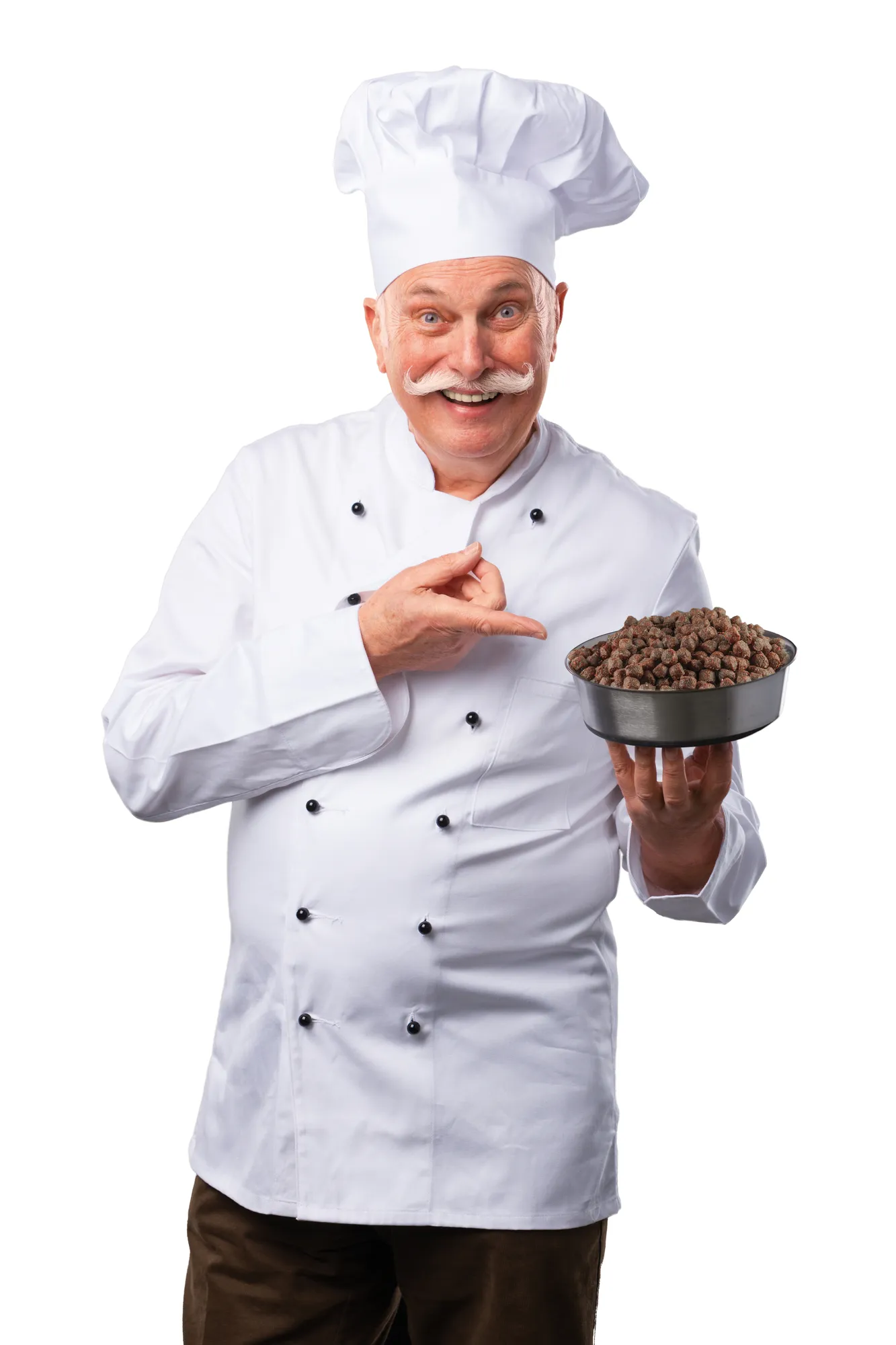 welpe isst belcando puppy gravy aus napf