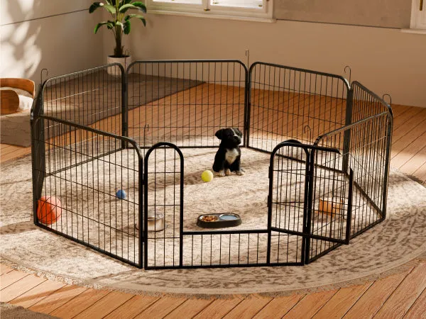 Welpen spielen fröhlich in einem großen, stabilen Welpenauslauf aus Metall im Garten