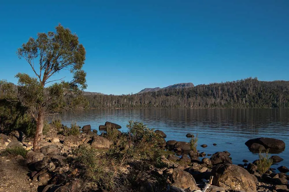 Wineglass Bay in Tasmanien, Australien, mit weißem Sandstrand und türkisfarbenem Wasser