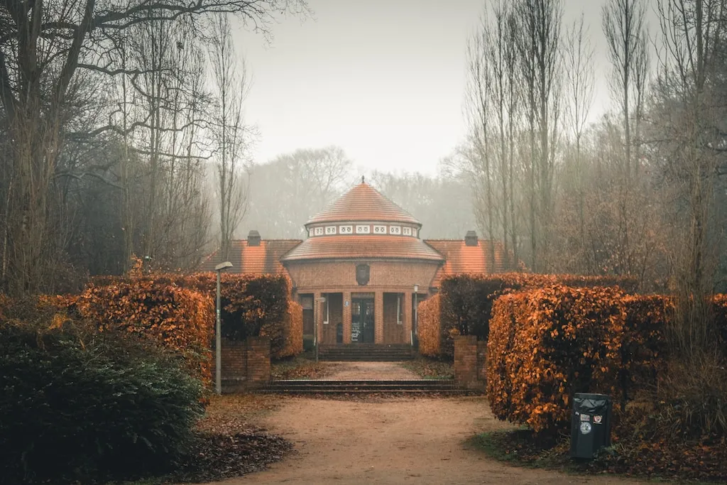 Winter in Hamburg: Ein verschneiter Wald im Winter