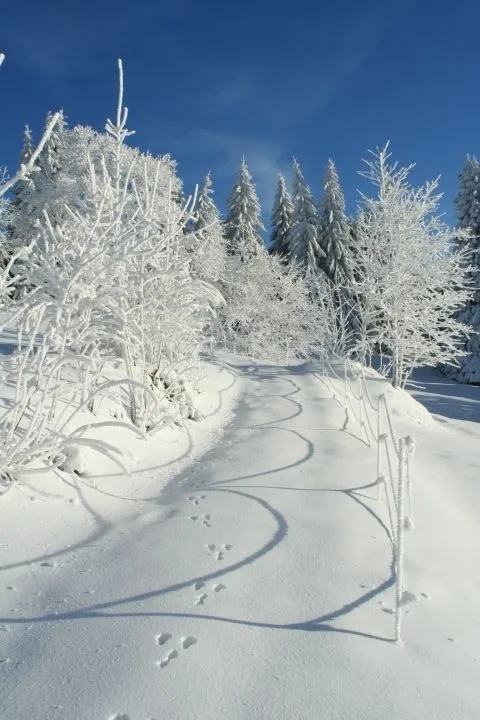 Winterlandschaft rund um das Berghaus Oberleitner im Schnee