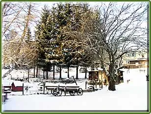 Winterliche Impression des Hotelparks mit verschneiten Bäumen