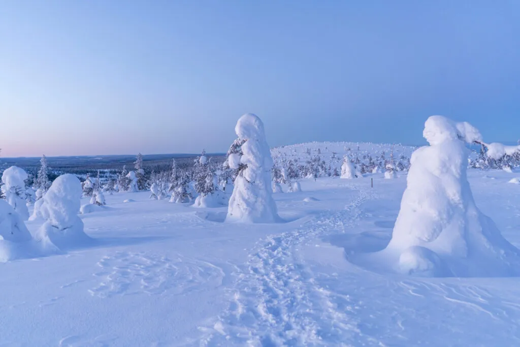 Winterwanderung Riisitunturi Nationalpark