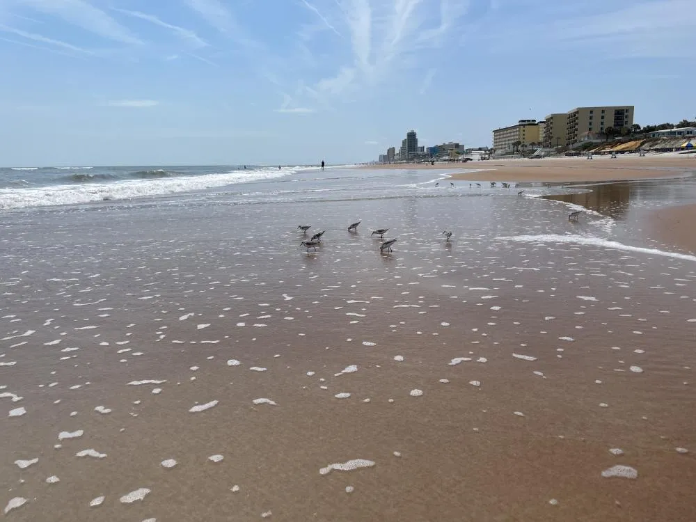 Wohnmobil parkt in einer Seitenstraße in Ormond Beach, Florida.