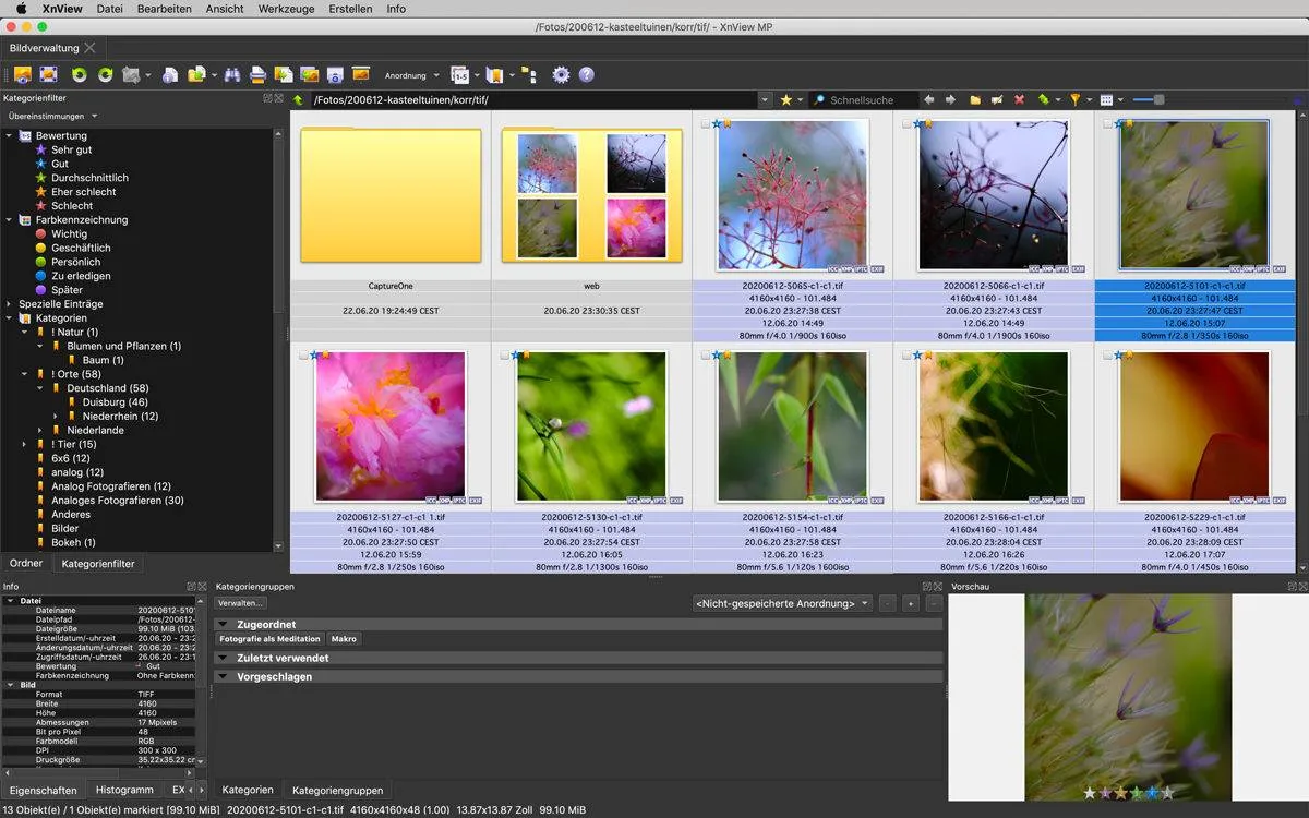 XnView MP Bildverwaltungssoftware kostenlos