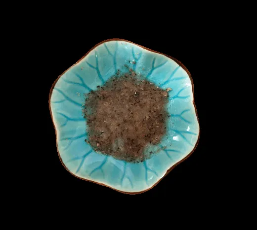 Zahnpastatube für Hunde