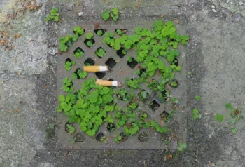 Zigarettenkippen und anderer Kleinmüll auf dem Boden einer Straße
