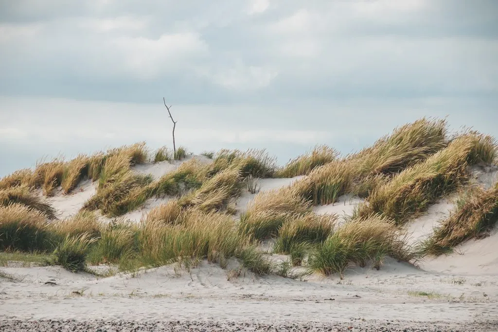 Zusammenfluss von Nordsee und Ostsee an der Spitze von Skagen, wo die Wellen verschiedener Farben aufeinandertreffen