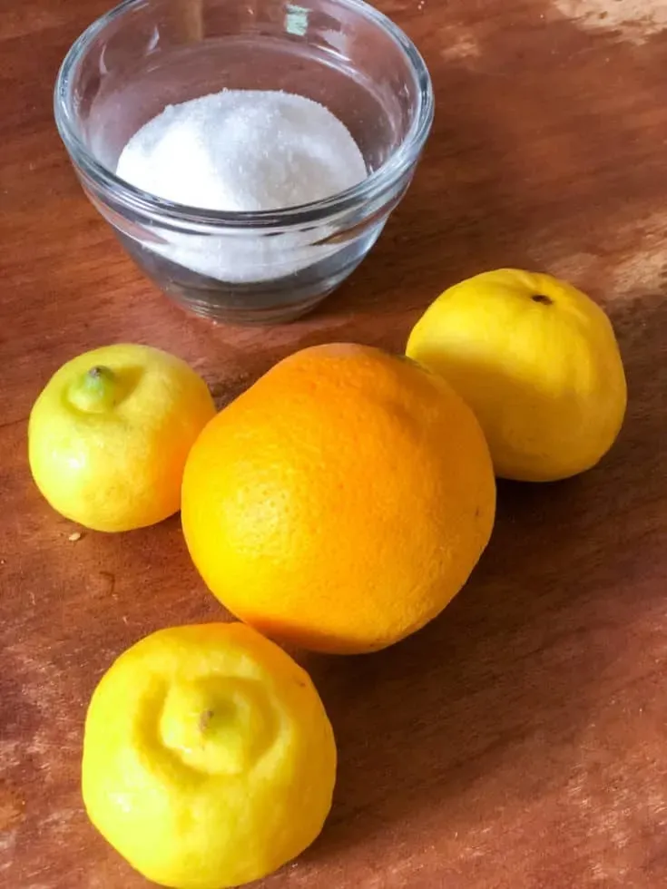Zutaten für Blender-Orangen-Limonade