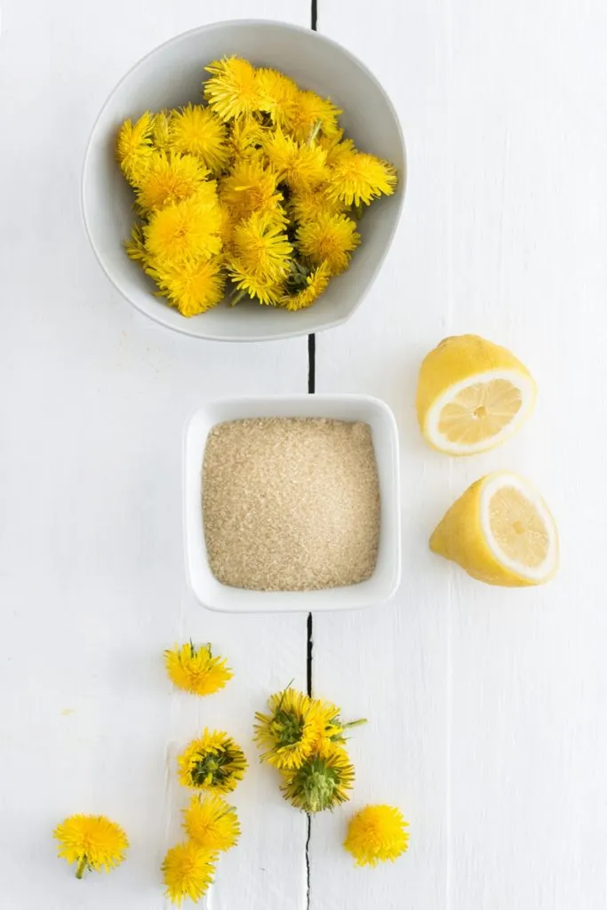 Zutaten für Löwenzahnsirup: Löwenzahnblüten, Zitronen und Rohrzucker auf einem Tisch