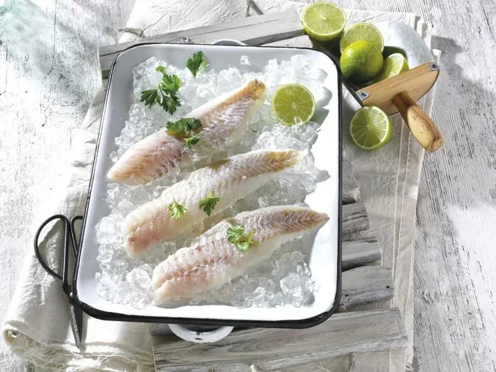 Zwei goldbraun gebratene Rotbarschfilets auf einem Teller mit frischen Kräutern und Zitrone.