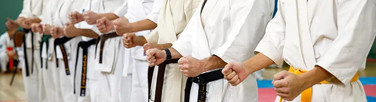 Zwei Kampfsportler in Aktion, die eine Technik vorführen, um die Dynamik des Kampfsports darzustellen.