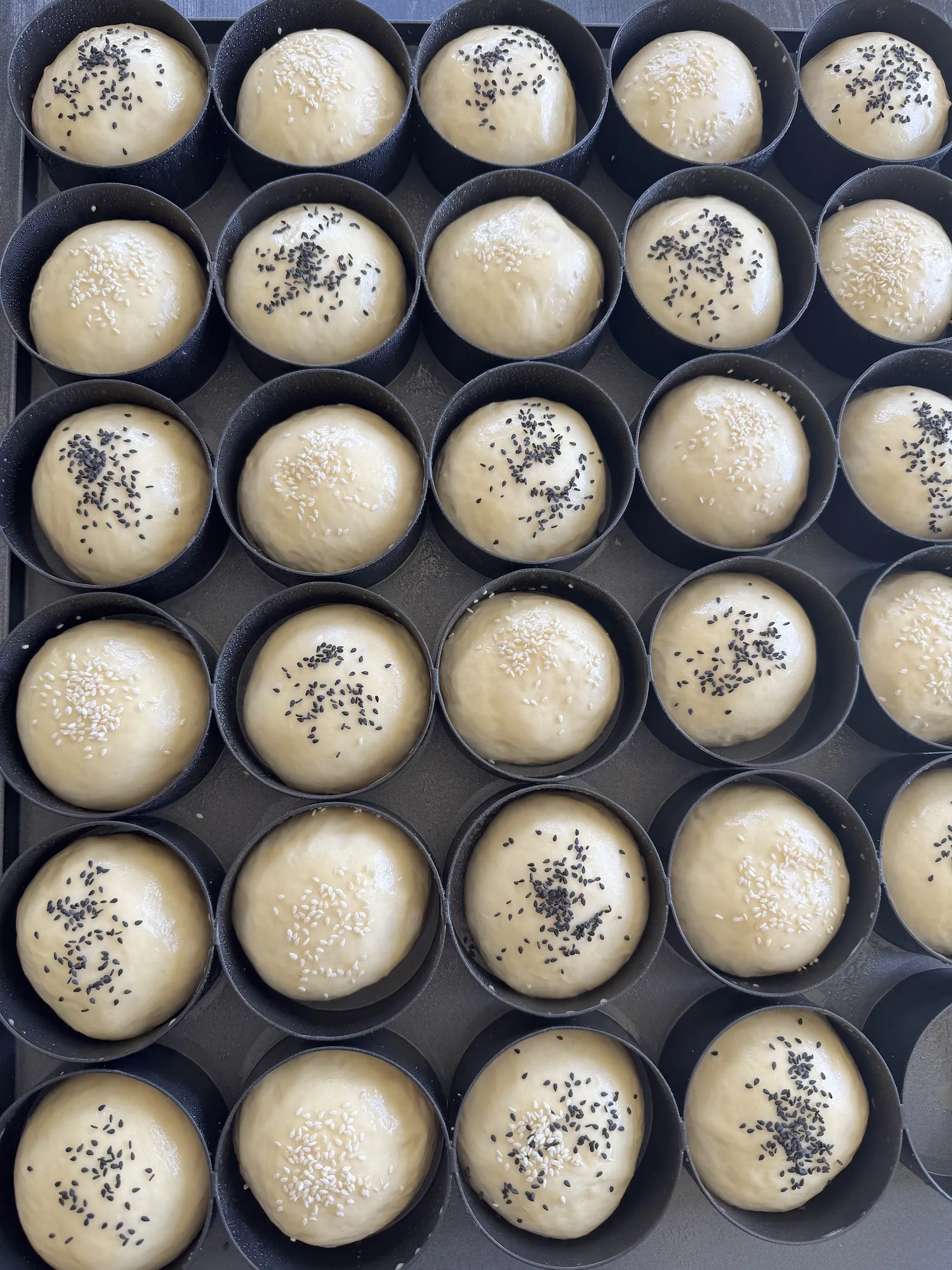 Zweite Gehzeit: Burger Brötchen in Ringen gehen auf einem Backblech auf