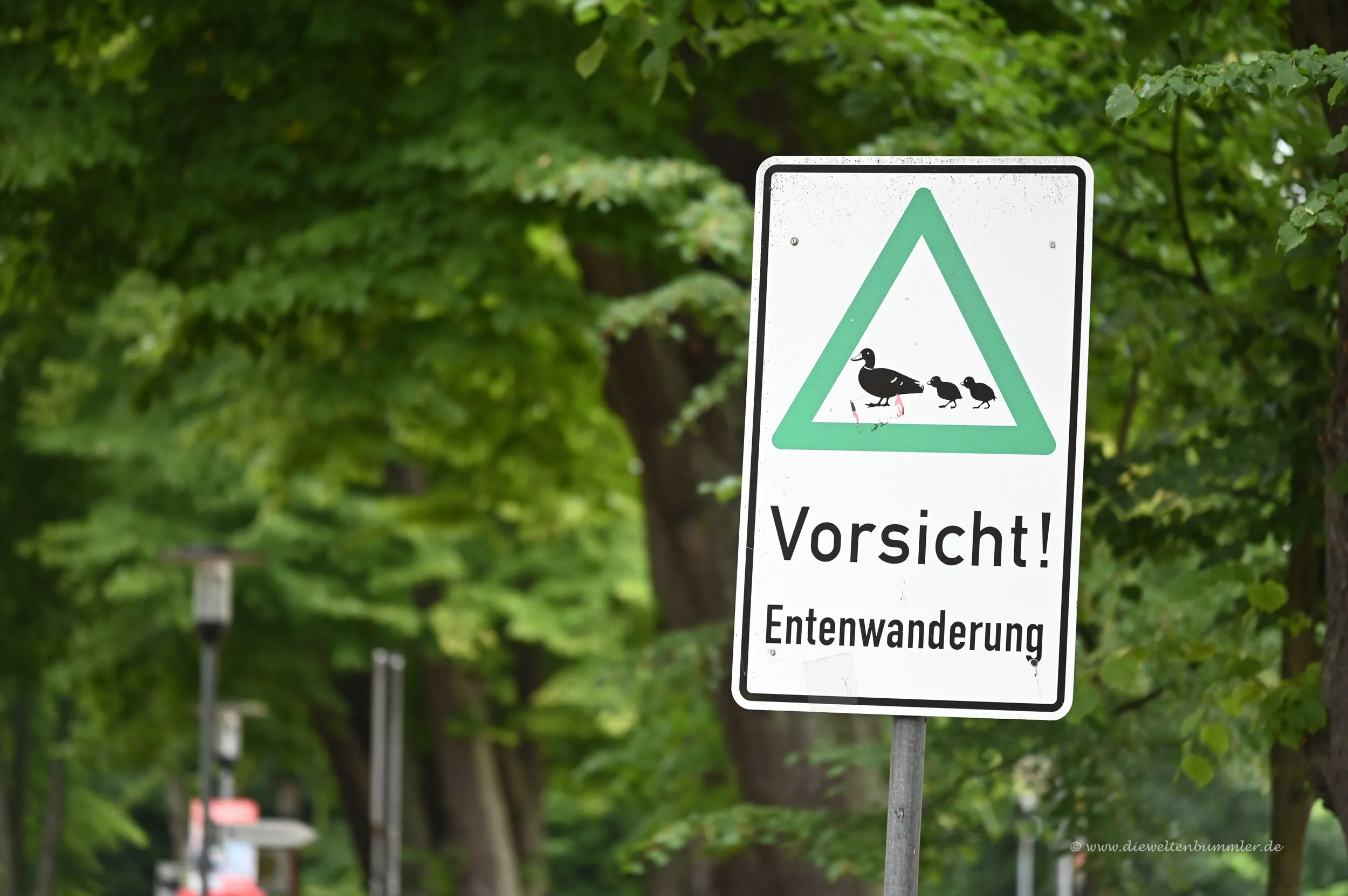 Achtung Enten am Wohnmobilstellplatz