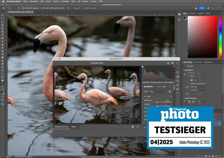 Adobe Photoshop CC beherrscht die Einbindung künstlicher Intelligenz meisterhaft und setzt neue Maßstäbe in der Bildbearbeitung.