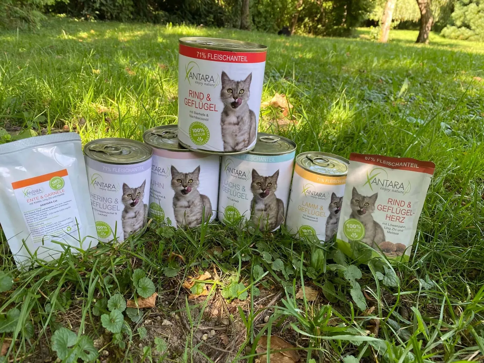 Alle Xantara Katzenfutter Sorten im Überblick