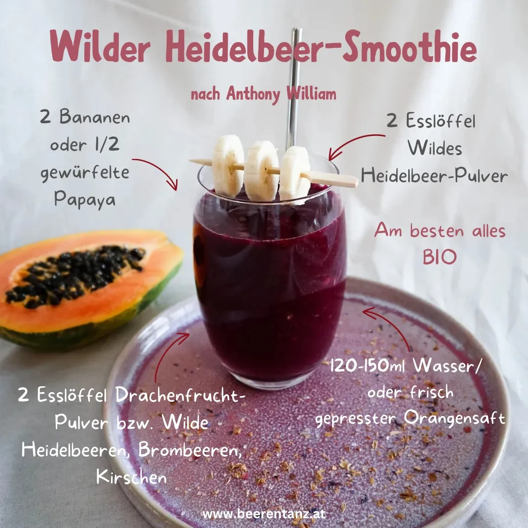 Anleitung zur Zubereitung eines wilden Heidelbeer-Smoothies und 1 Foto davon