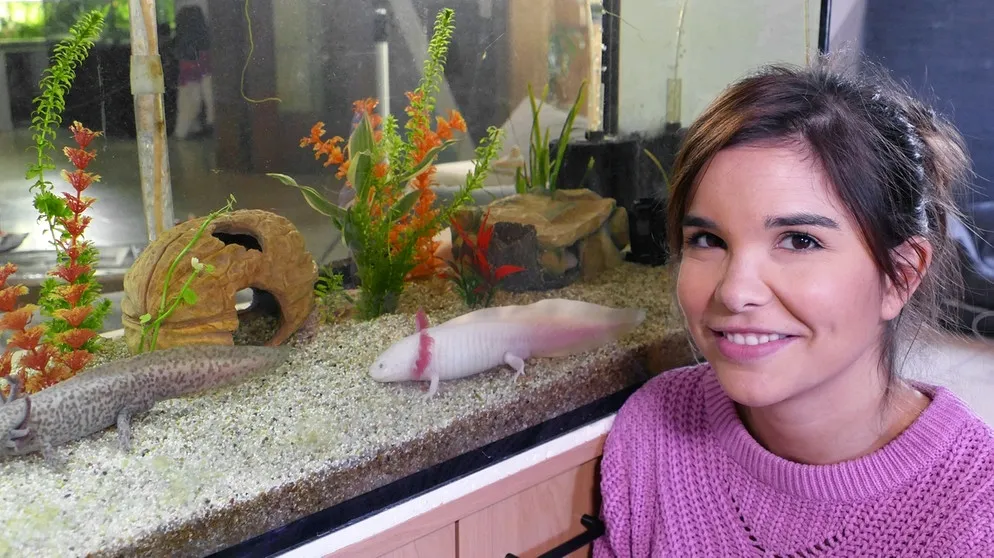 Annika Preil (Anna) vor einem Aquarium, das einen einzigartigen Axolotl beheimatet