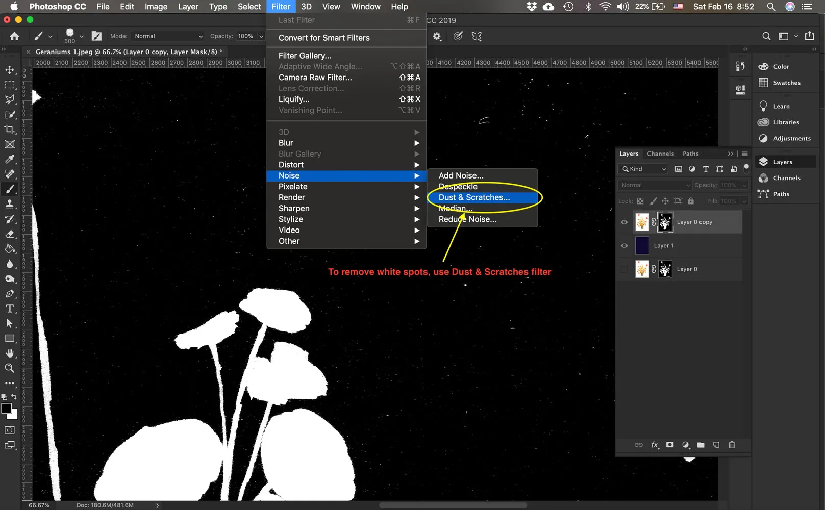 Anwendung des Filters 'Staub & Kratzer' auf die Ebenenmaske zur Entfernung von Unreinheiten