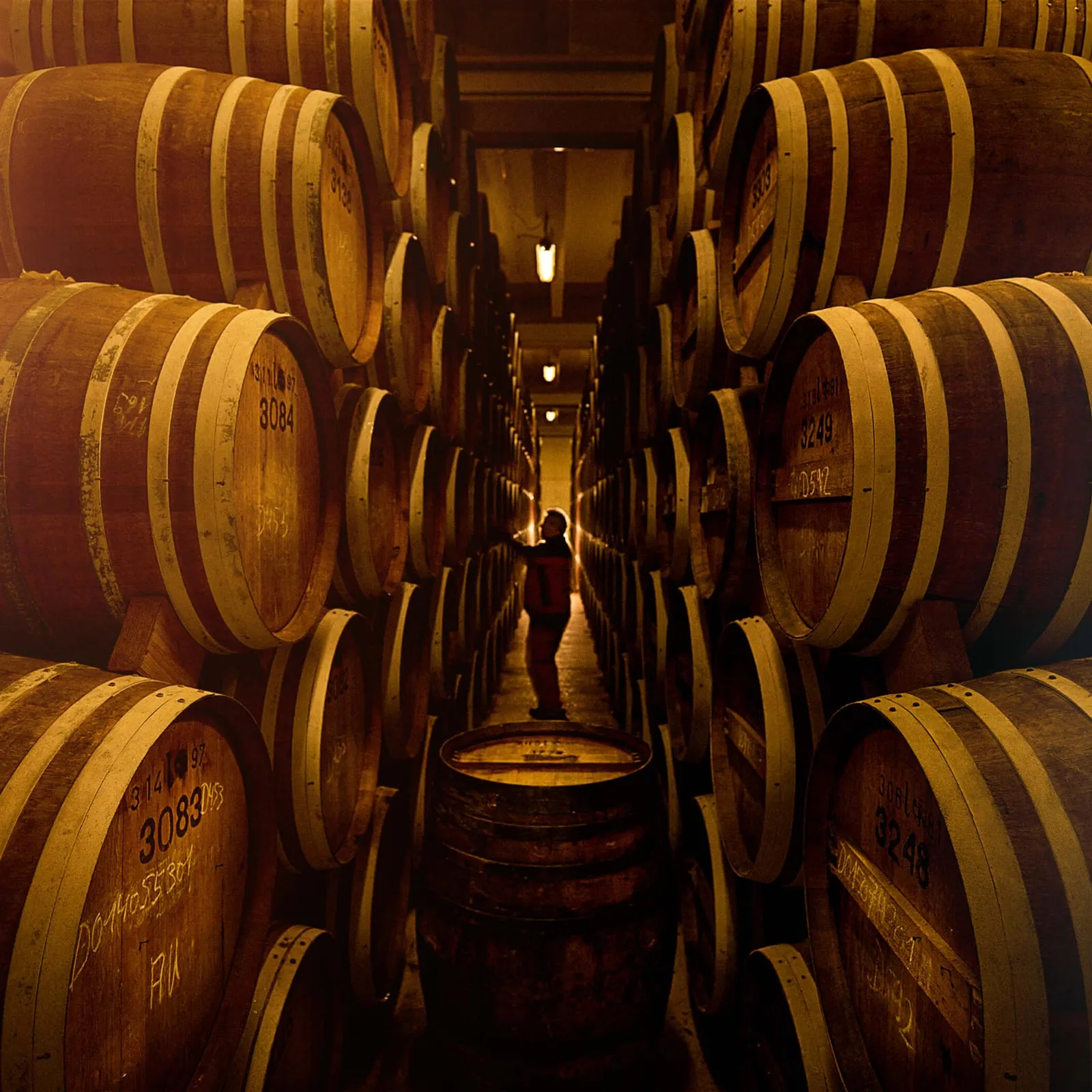 Asbach Fässer in einem Reifekeller, wo der Weinbrand über Jahre heranreift