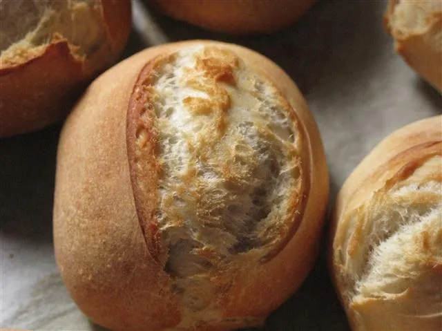 Aufgegangene Brötchen mit Kruste