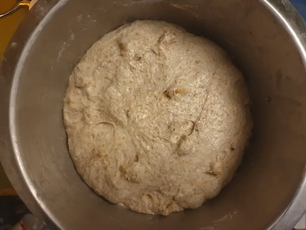Aufgegangener Teig für Walnussbrot