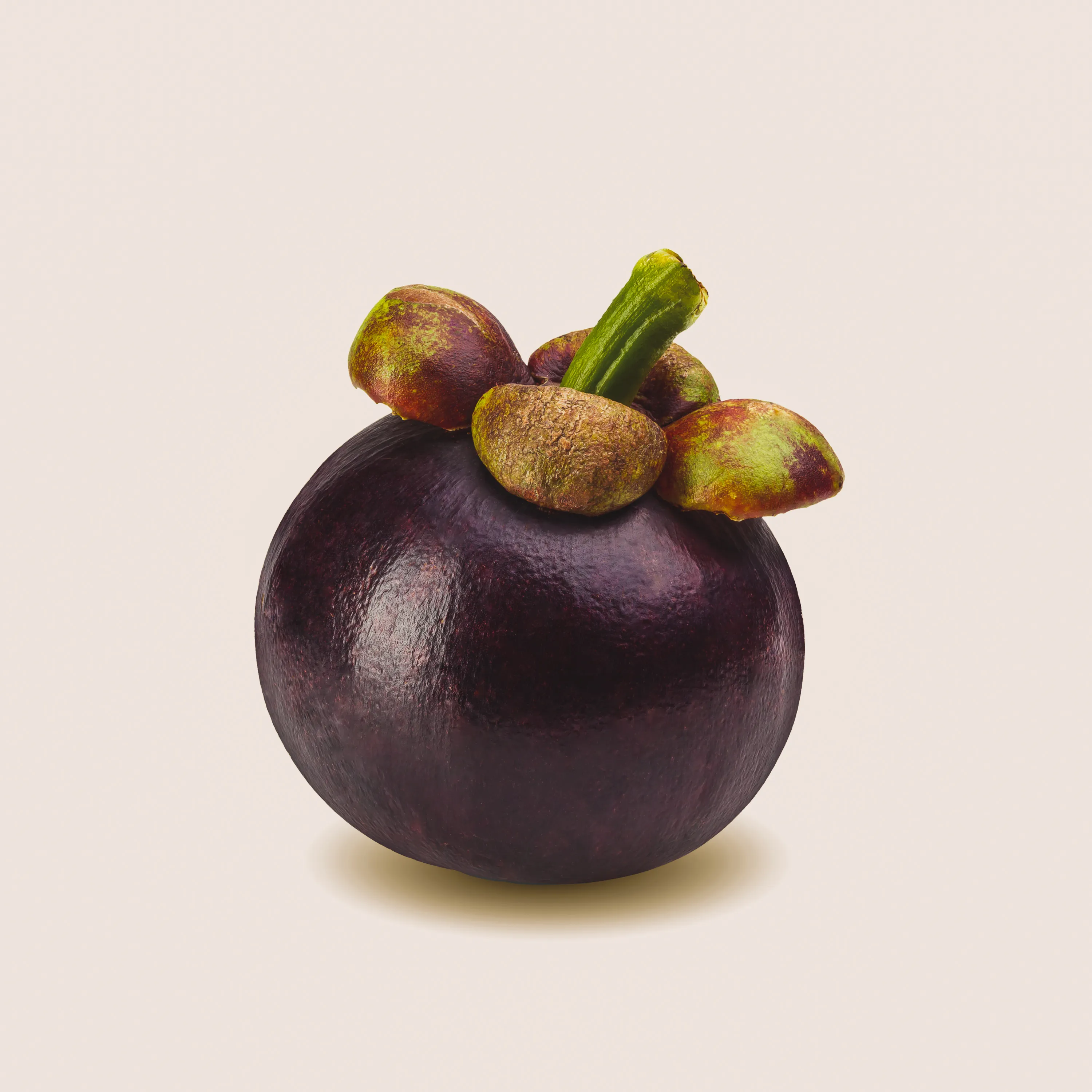 Aufgeschnittene Mangosteen, die das saftige, weiße Fruchtfleisch enthüllt