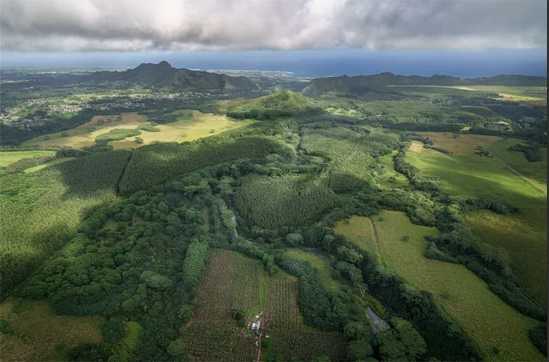 Aufhellen von Glanzlichtern und Details im Landschaftsfoto für mehr Tiefe