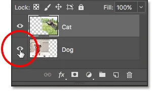 Ausschalten der 'Hund'-Ebene.