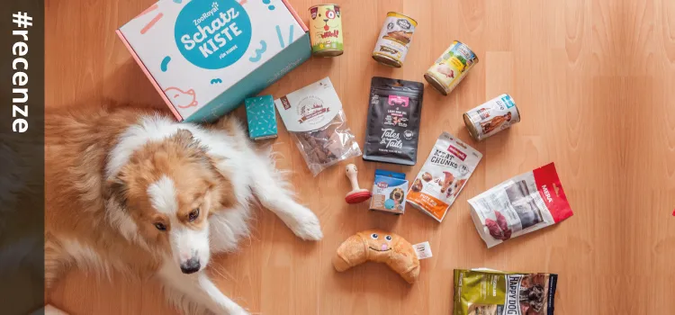 Außenansicht der Schatzkiste von ZooRoyal mit attraktivem Design