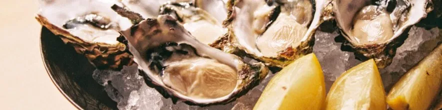 Austern mit Zitrone und Kräutern garniert