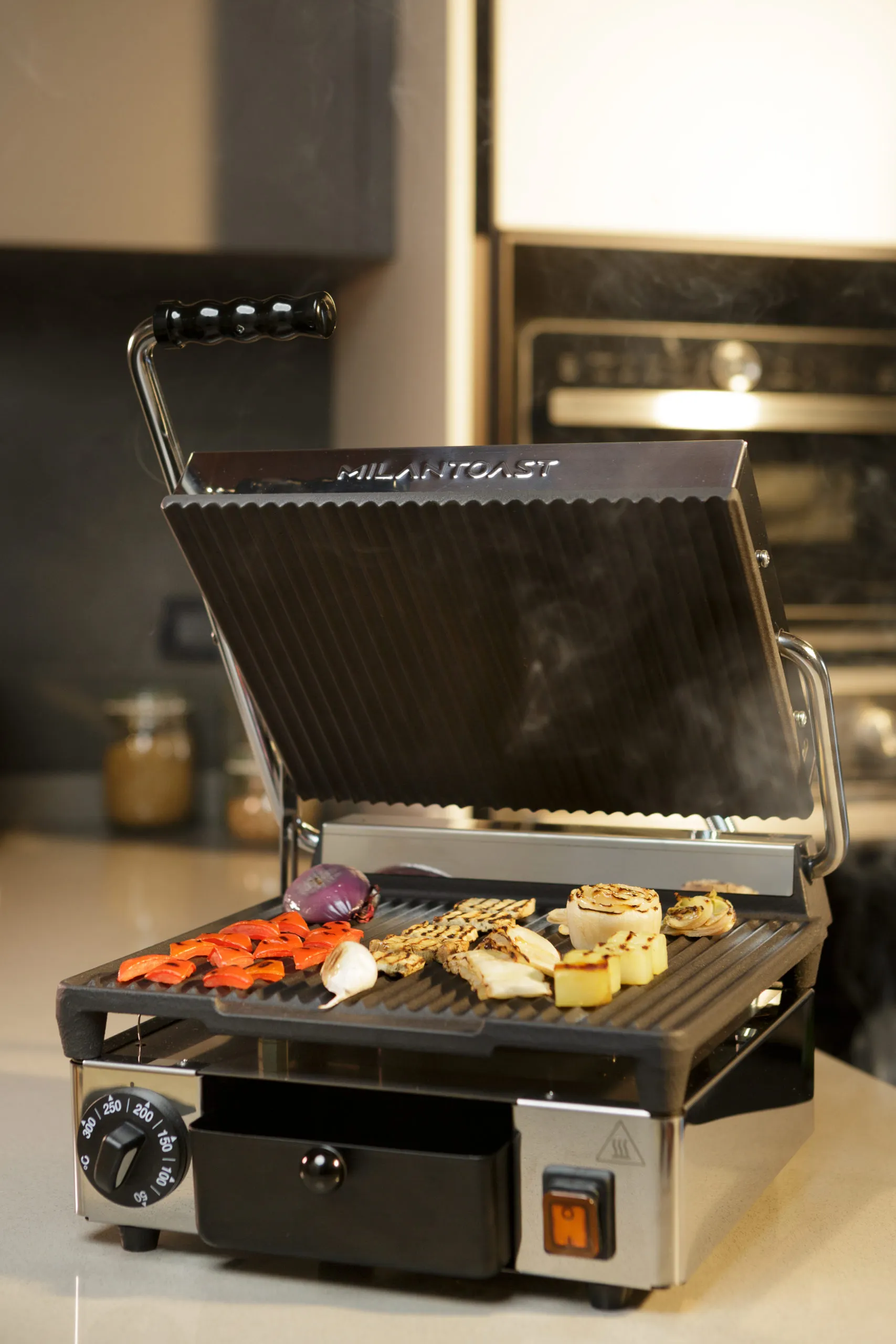 Auswahl an gegrilltem Gemüse als mediterrane Vorspeise