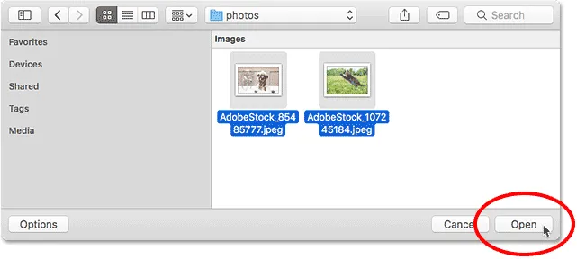 Auswahl der Bilder zum Öffnen in Photoshop.
