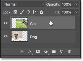 Auswahl der obersten Ebene im Ebenenbedienfeld.
