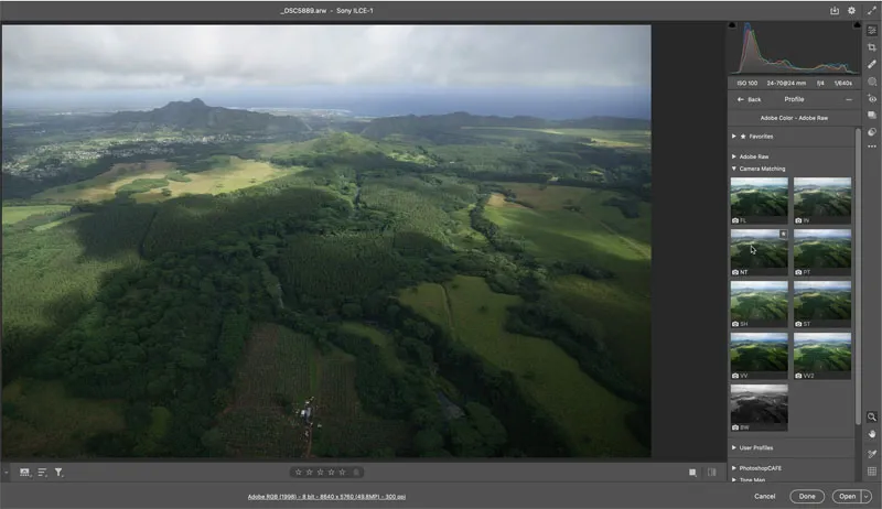 Auswahl eines Farbprofils in Adobe Camera Raw zur Optimierung der Bildbasis