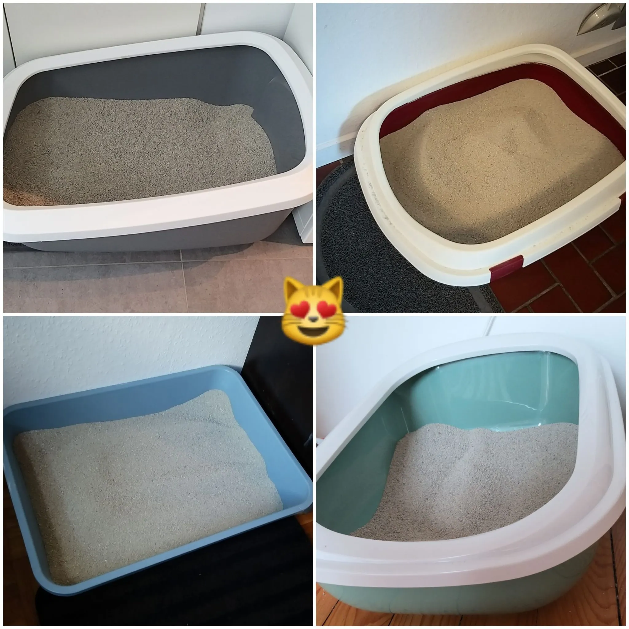 Auswahl von artgerechten, offenen Katzentoiletten mit hohem Rand und viel Platz, empfohlen für das Wohl der Katzen