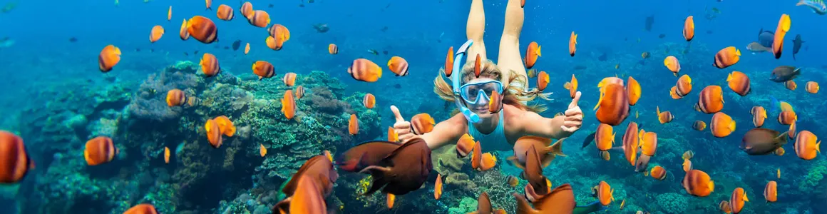 Bahamas Schnorcheln Reisekalender