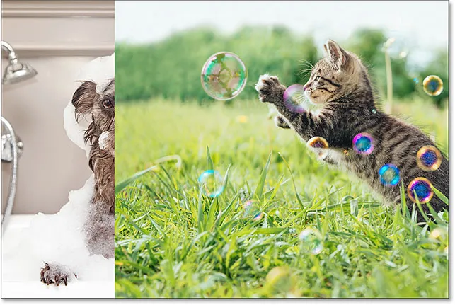 Beide Fotos wurden nun an Ort und Stelle verschoben.