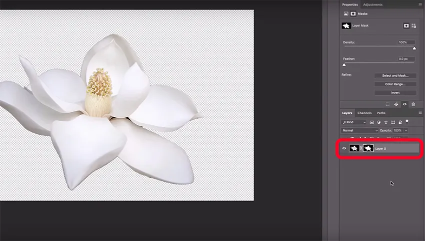 Beispiel einer Ebenenmaske zur selektiven Bildbearbeitung