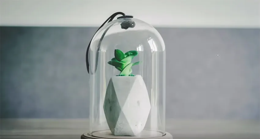 Beispiel eines Bildes mit hoher Auflösung