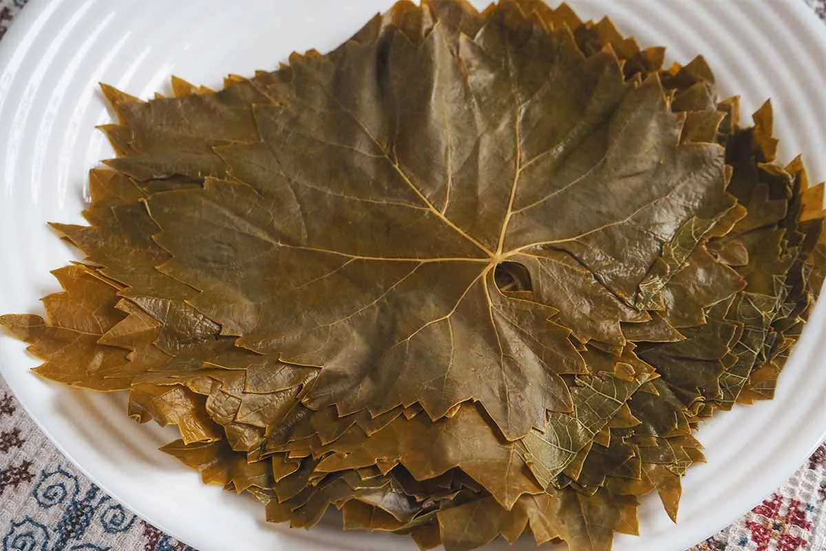 Blanchierte Weinblätter, bereit zum Füllen und Rollen