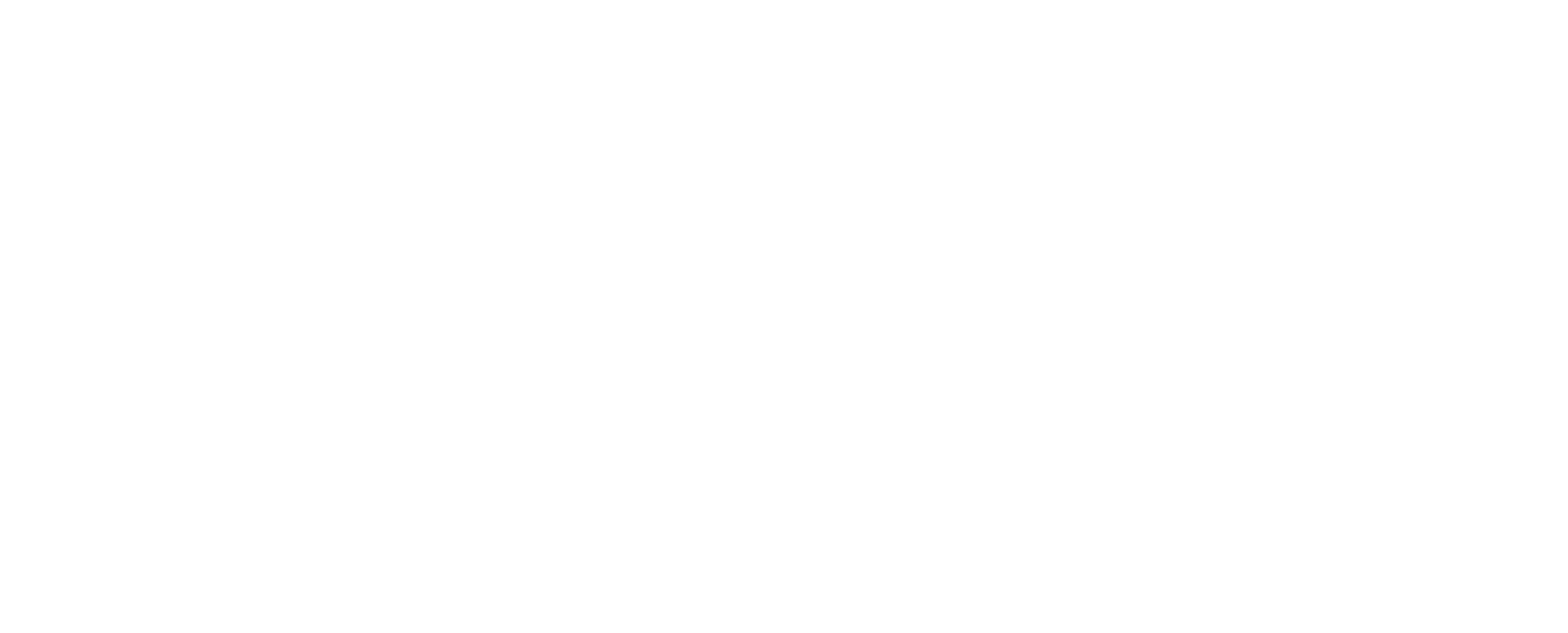Brillux Sponsor Logo