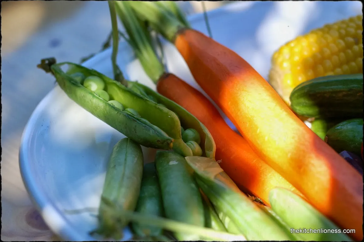 Bunte Vielfalt an frischem Gemüse: Karotten, Tomaten und Gurken