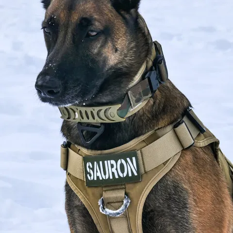 Das Alltrail CC-K9 FrontClip Geschirr in eleganter schwarzer Ausführung