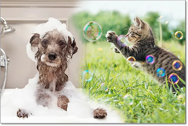 Das Ergebnis mit dem Radiergummi-Werkzeug.