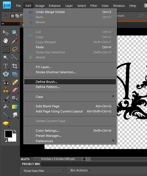 Das Menü in Photoshop Elements, das die Option "Pinsel definieren aus Auswahl" hervorhebt.