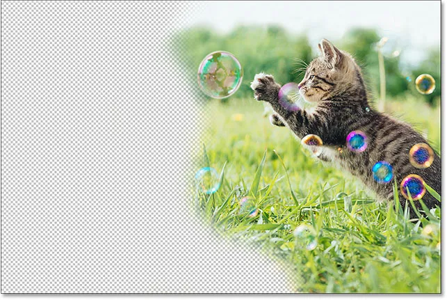 Das Radiergummi-Werkzeug hat Teile des Bildes dauerhaft gelöscht.