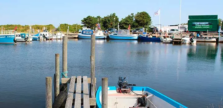 Der Hafen von Bork Havn am Ringkøbing Fjord, Dänemark
