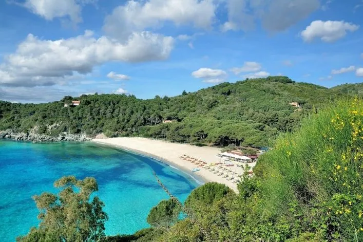 Der malerische Fetovaia-Strand in Marina di Campo auf der Insel Elba, Italien, mit klarem türkisfarbenem Wasser
