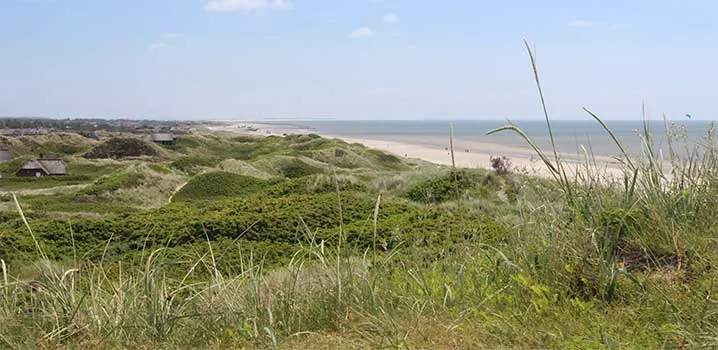 Der weitläufige Strand von Blåvand an der dänischen Nordseeküste